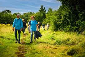 Wellbeing Walks Heath and Reach activity image