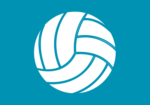 Volleyball activity image