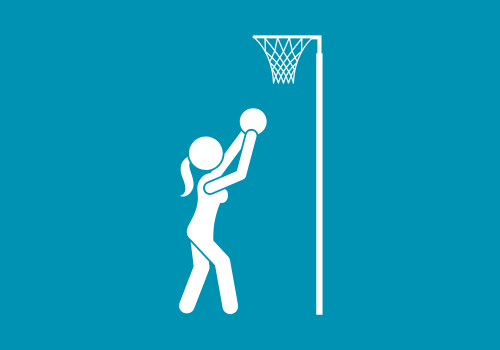 Netball activity image