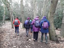 Wellbeing Walks Toddington activity image