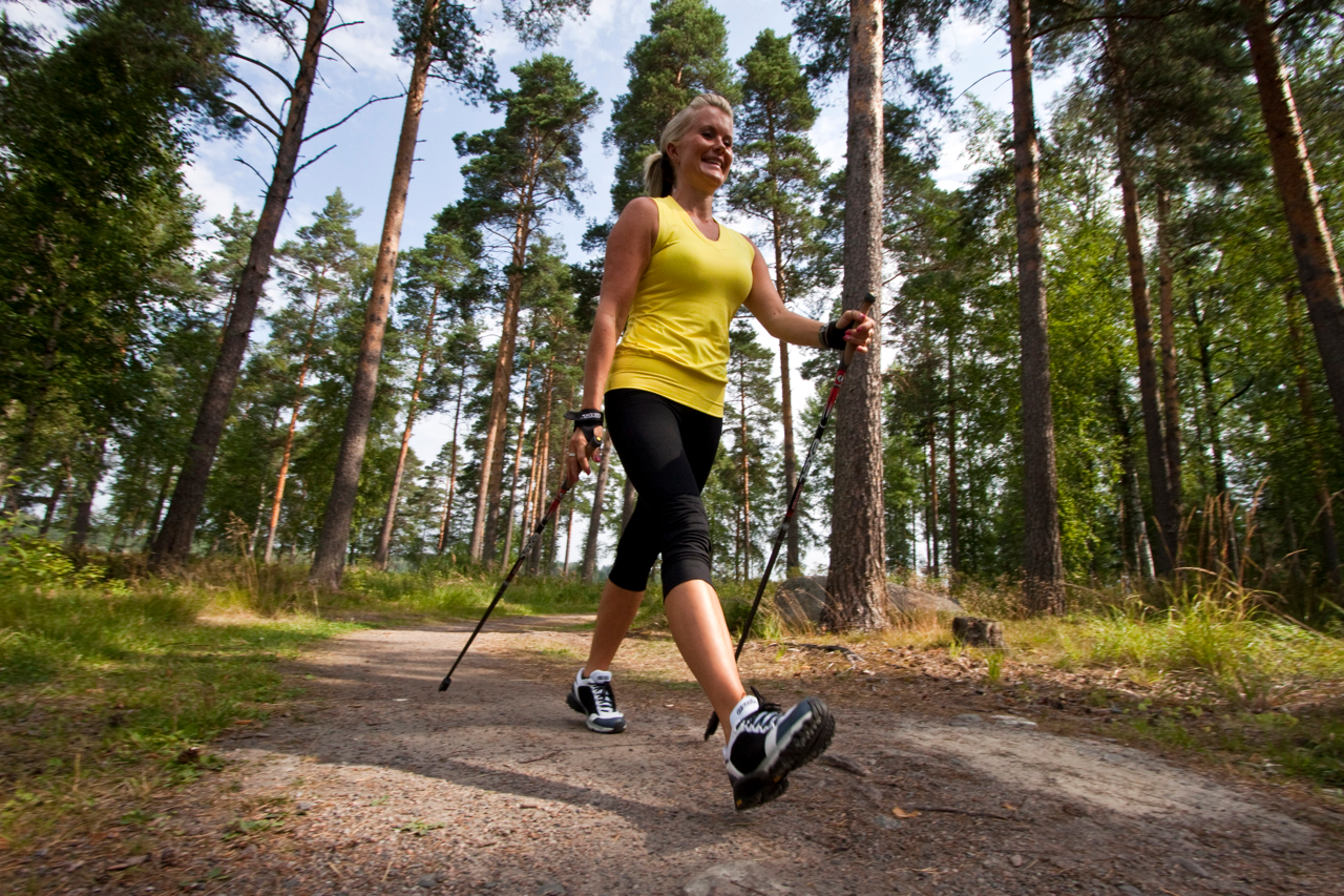 Nordic walking workout activity image